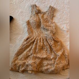 City Triangles Beige Lace Mini Dress